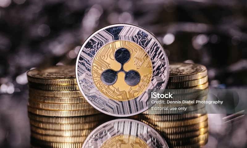 MTRG币的发行量是多少？MTRG币的总发行量与市场分析