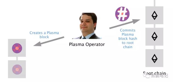 什么是Plasma？Plasma Cash？