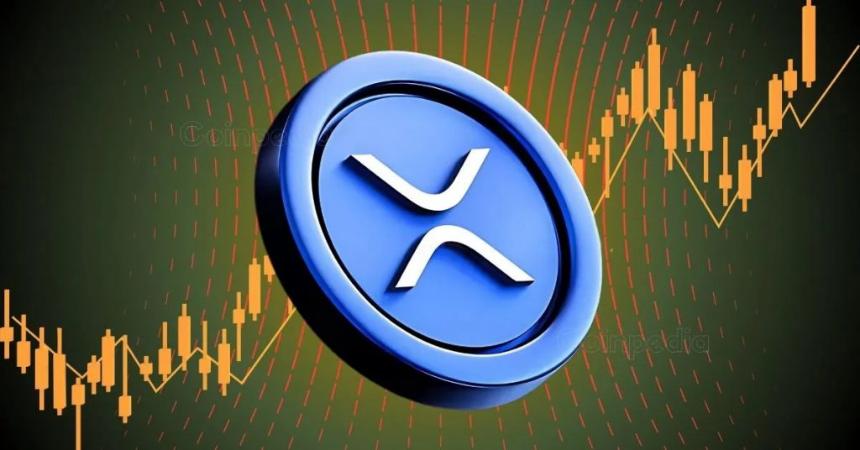 埃隆·马斯克或将在X Money中启用XRP支付，DeFi市场迎来新期待