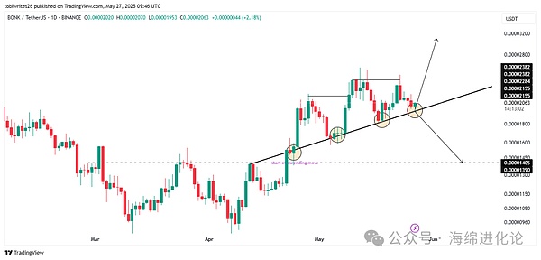 BONK、FARTCOIN、PENGU 和 WIF 领跌 Memecoin 市场，比特币吸金效应成主因？