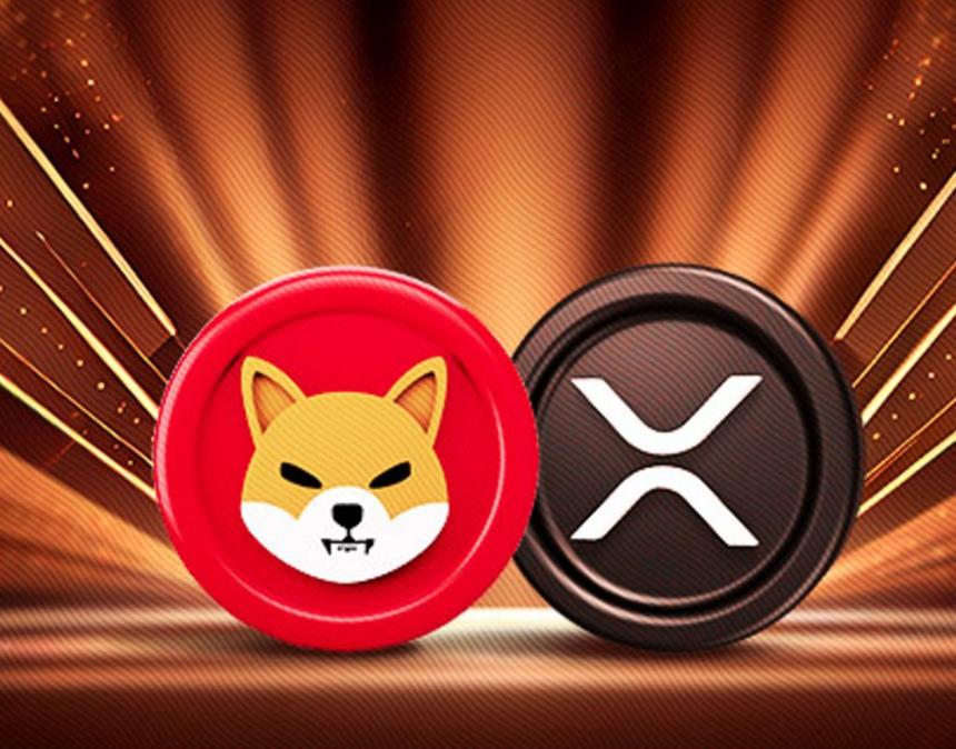 2050年XRP和Shiba Inu价格预测：长期加密货币投资的潜在回报