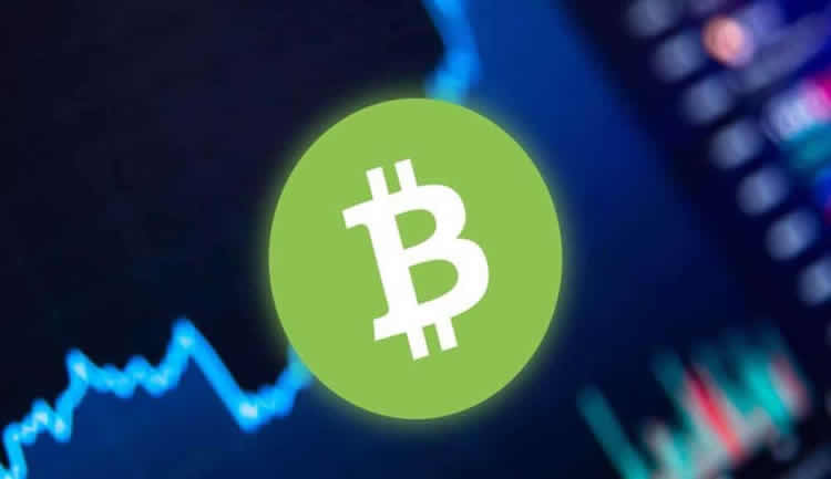 值得购买以获得长期收益的七大加密货币盘点