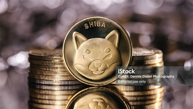 WAYF币是什么？WAYF币的未来发展潜力