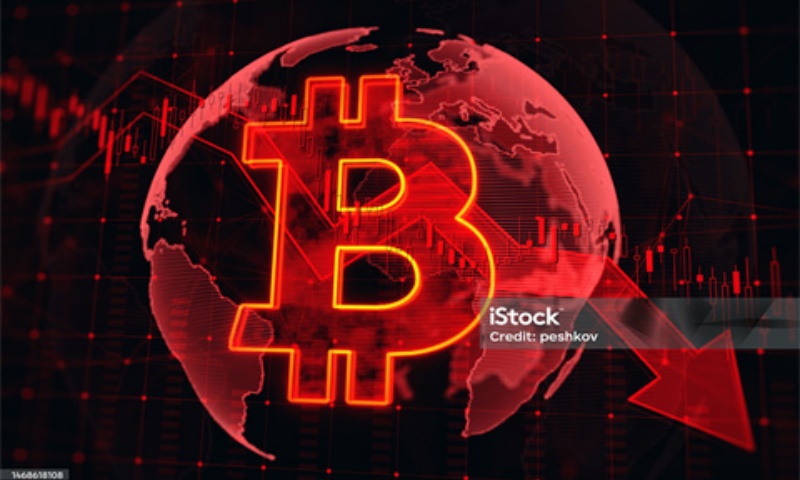 如何查询钱包资产？区块链钱包功能使用指南