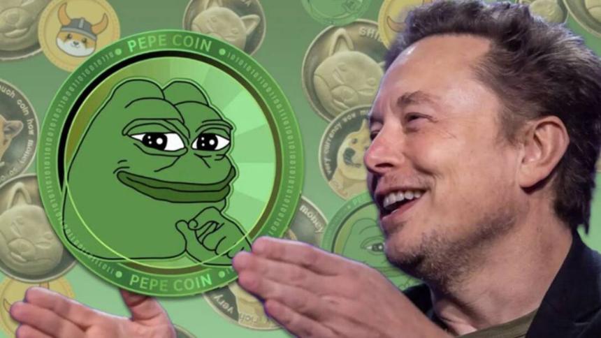埃隆·马斯克是否投资了Pepe Coin？市场猜测与价格波动分析