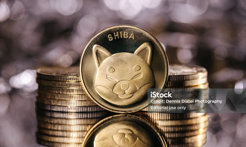 比特币期权怎么玩？新手入门必看的比特币期权交易教程