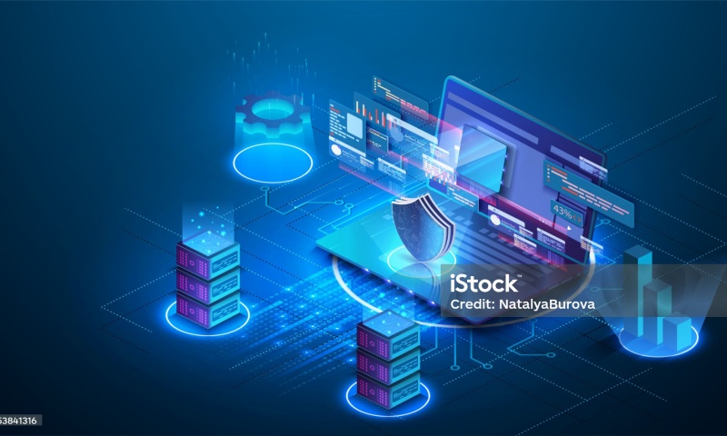 BLUE钱包使用攻略：支持币种及安全性测评