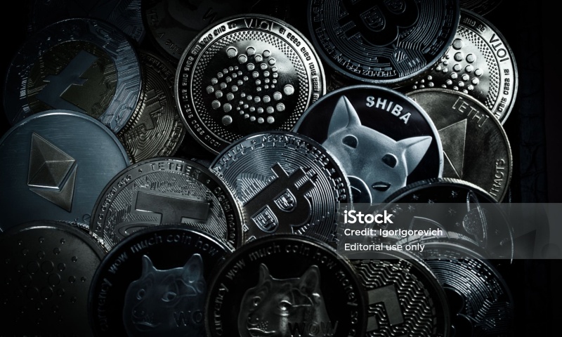 如何选择合适的钱包存储数字货币？数字钱包选择指南