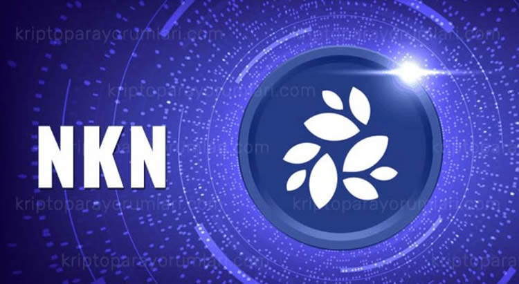 什么是NKN(NKN)代币？NKN币项目和投资潜力解析
