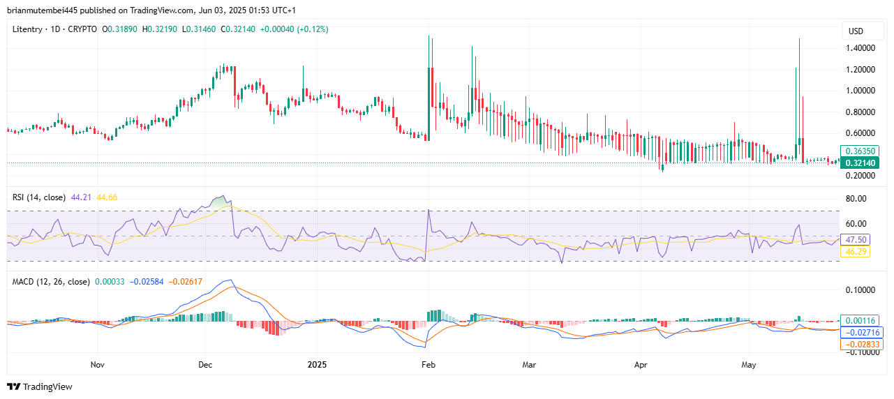2025年可能暴涨100倍的4种1美元以下山寨币（最新推荐）！