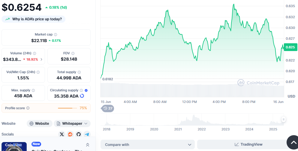 2025年值得投资的加密货币：瑞波币（XRP）、索拉纳（Solana）和卡尔达诺（Cardano）