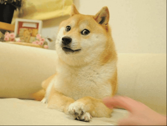 狗狗币是什么？值得投资吗？一文解析马斯克最爱的Dogecoin