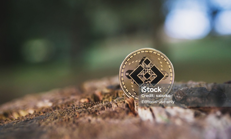 BAKE币的发行量是多少？面包币的发行价格与时间介绍