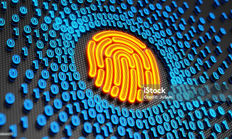 YOU币的发行总量是多少？YOU币的总量和流通量介绍