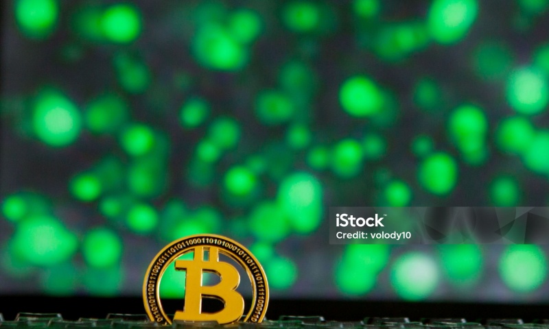 如何选择合适的虚拟货币投资平台？最受欢迎平台的对比