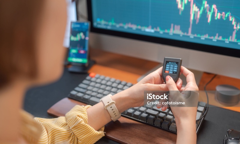 秋田犬币和柴犬币的发行量是否相同？分析两者的发行量与市场表现