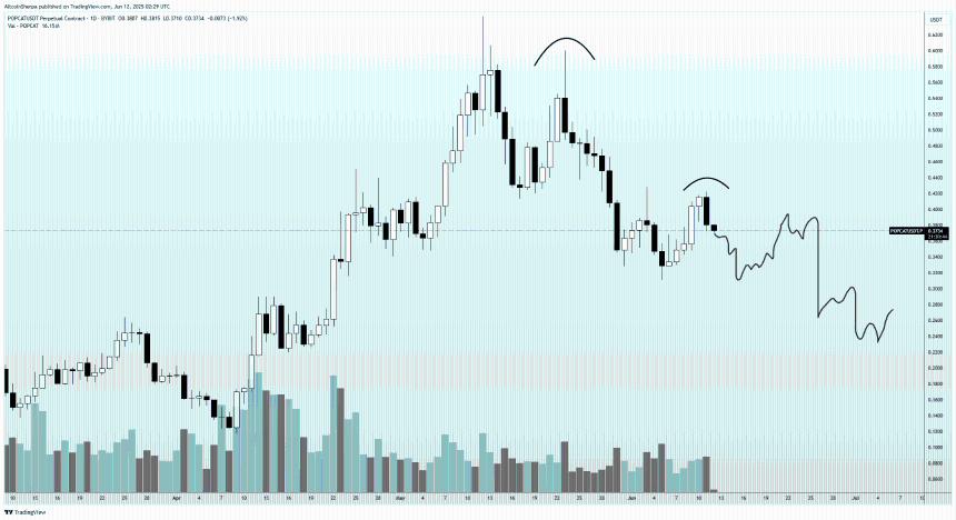 交易员预测:第一层山寨币或创新高,WIF与POPCAT面临50%回调风险