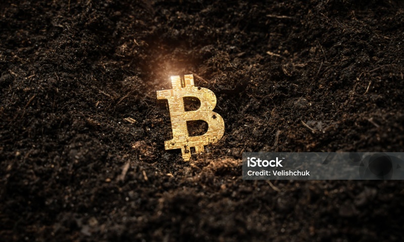 2025年值得投资的数字货币有哪些？2025年最具潜力的加密资产